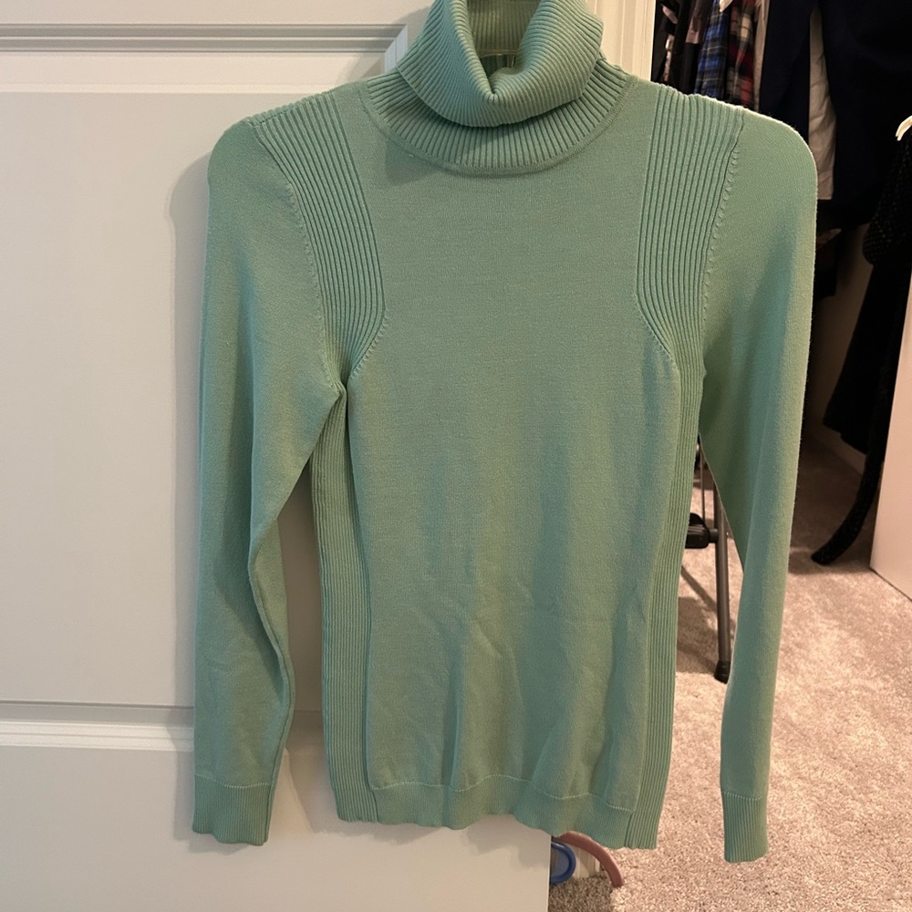 The Limited Seafoam Turtleneck Sweater